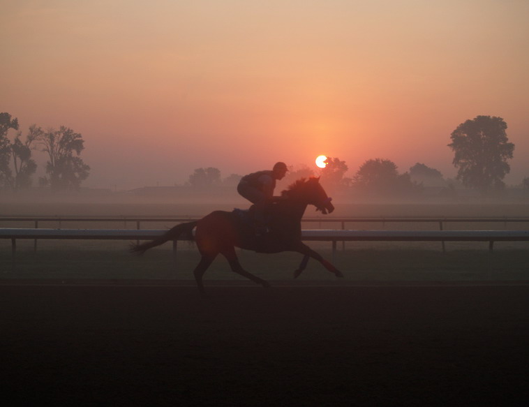 Horse racing at sunrise