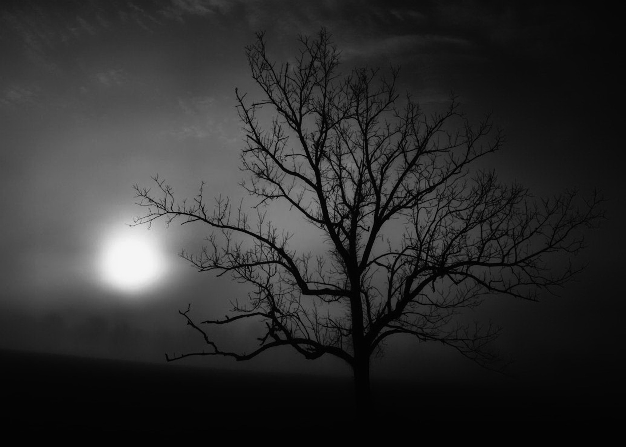 Winter tree silhouetted against the sun
